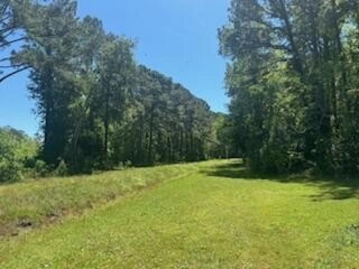 Picture of Residential Land For Sale in McClellanville, South Carolina, United States