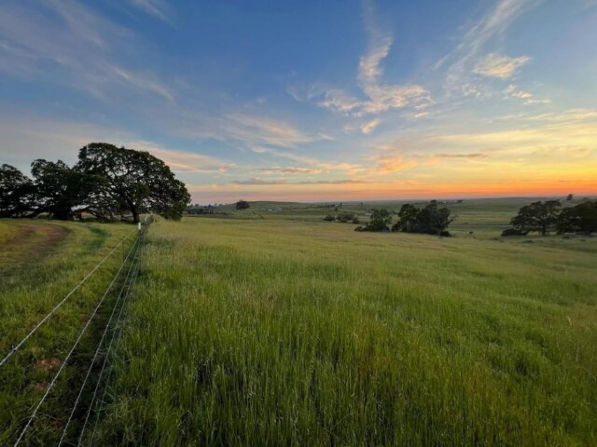 Picture of Residential Land For Sale in Shingle Springs, California, United States