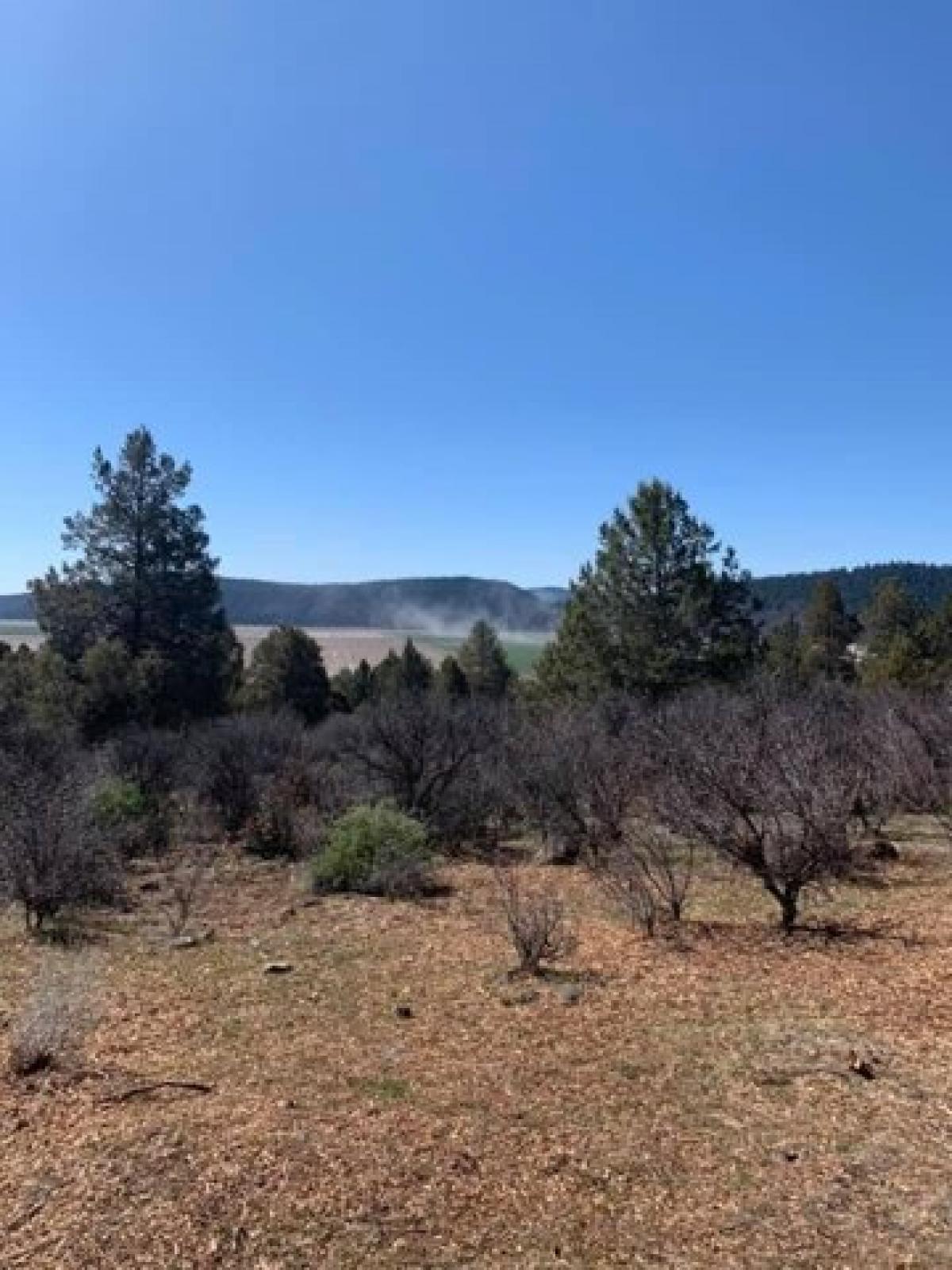 Picture of Residential Land For Sale in Klamath Falls, Oregon, United States