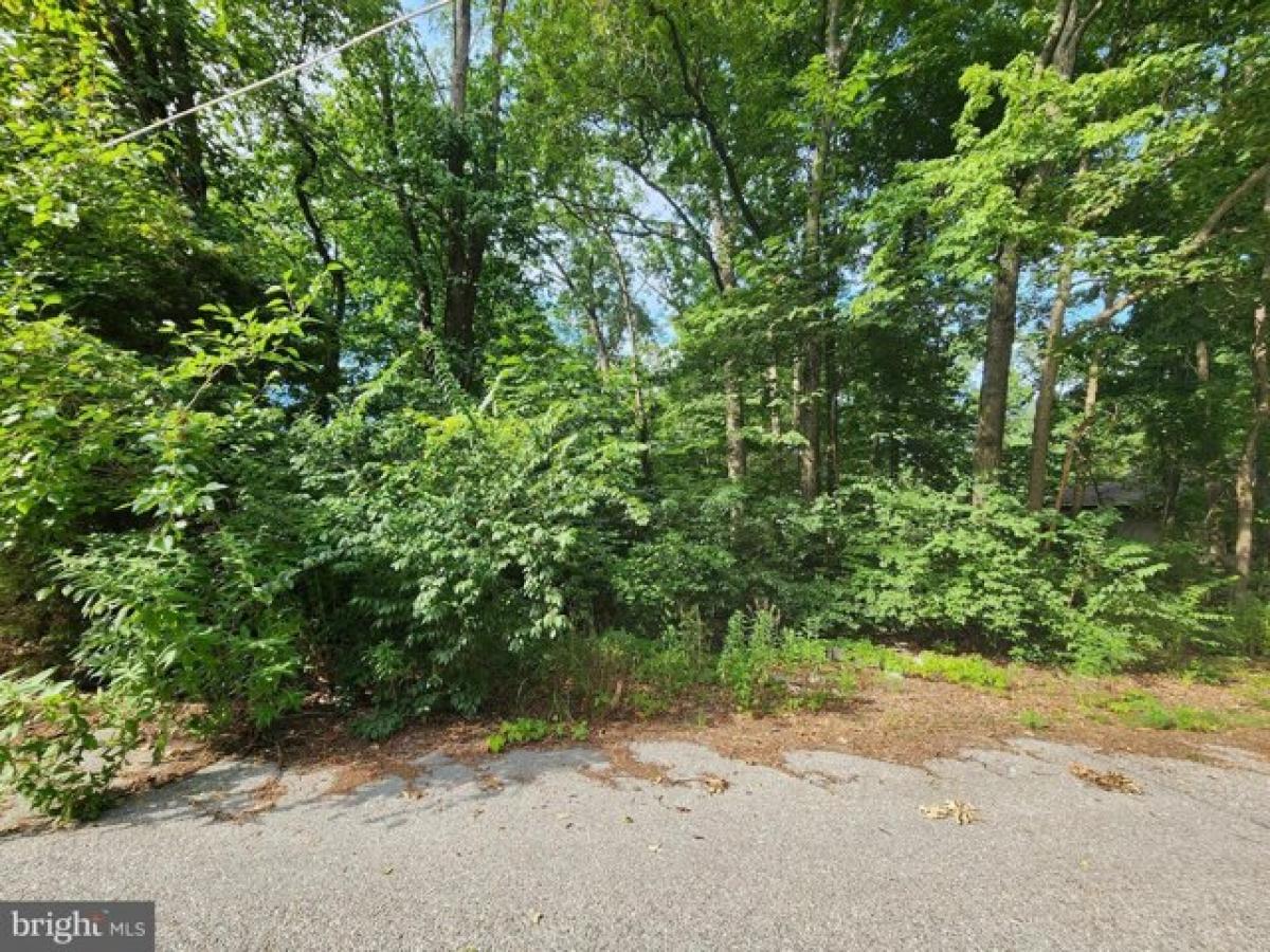 Picture of Residential Land For Sale in East Berlin, Pennsylvania, United States