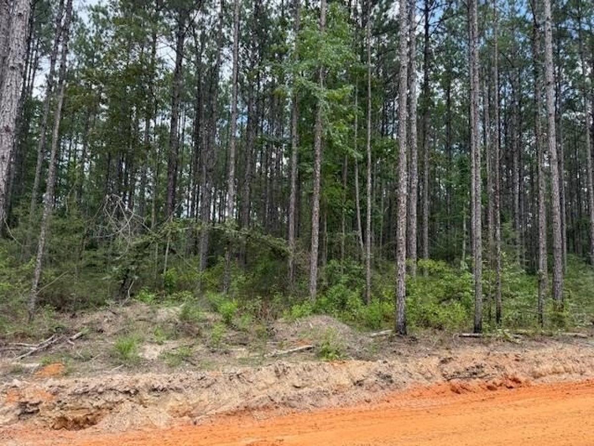 Picture of Residential Land For Sale in Carriere, Mississippi, United States