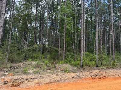 Residential Land For Sale in Carriere, Mississippi