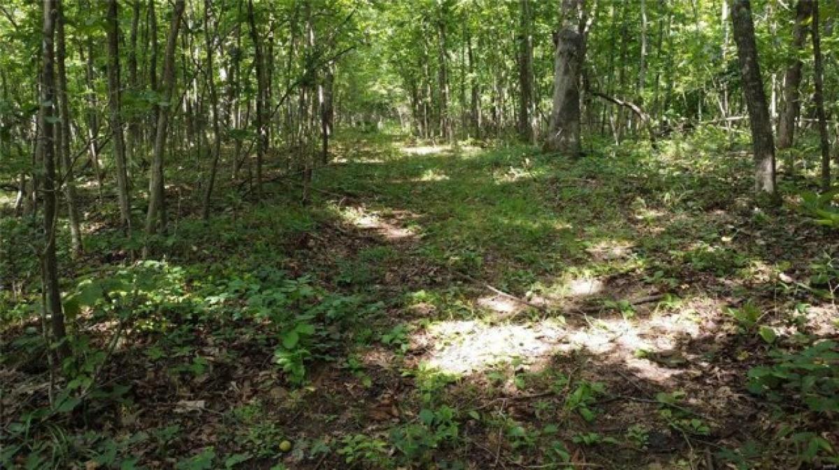 Picture of Residential Land For Sale in Piedmont, Missouri, United States