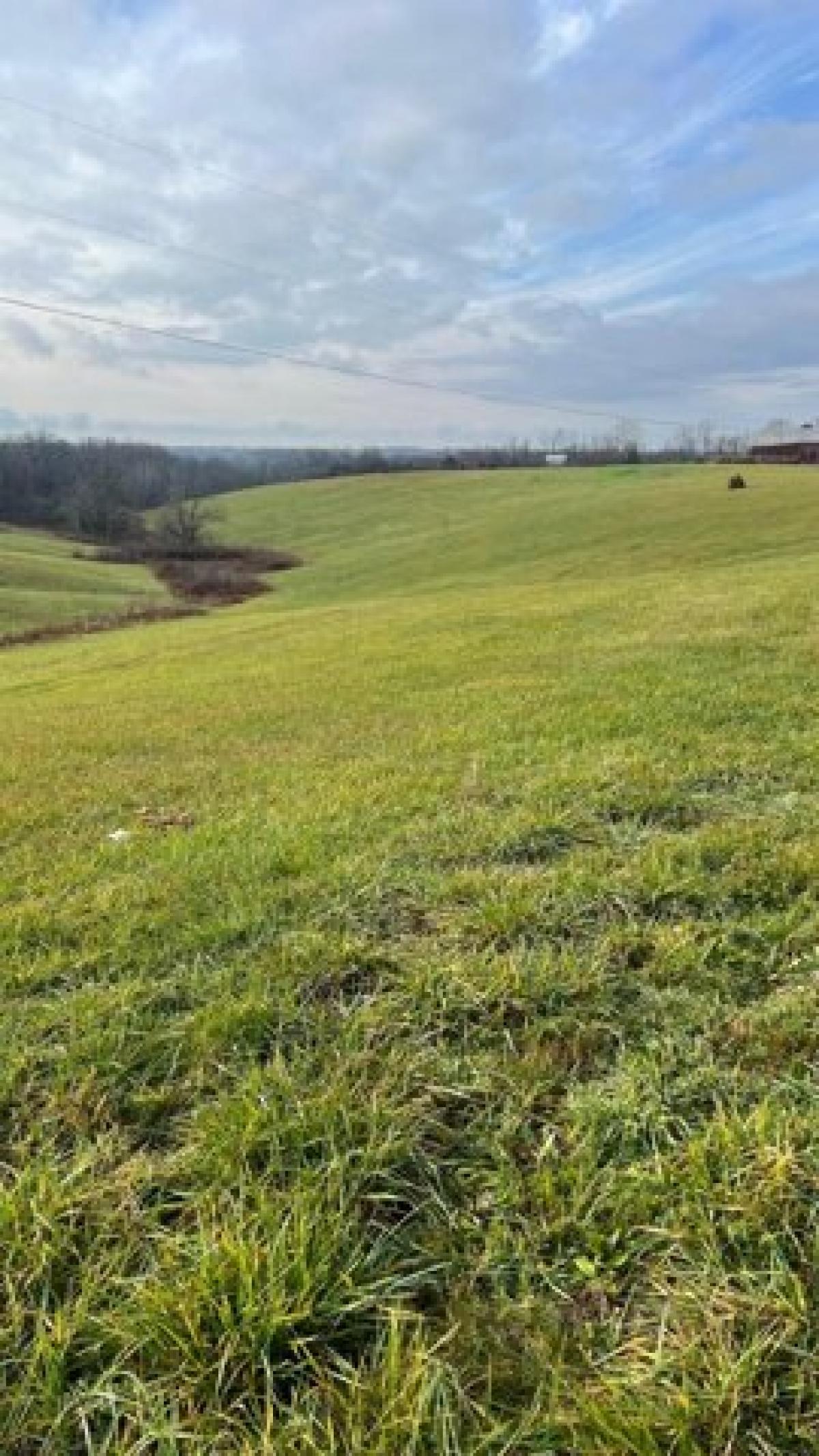 Picture of Residential Land For Sale in Dry Ridge, Kentucky, United States