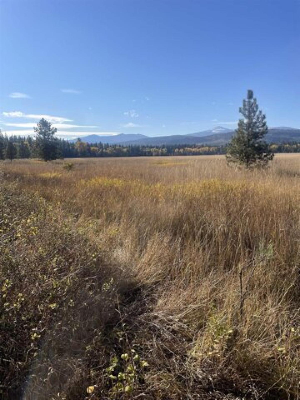 Picture of Residential Land For Sale in Cusick, Washington, United States