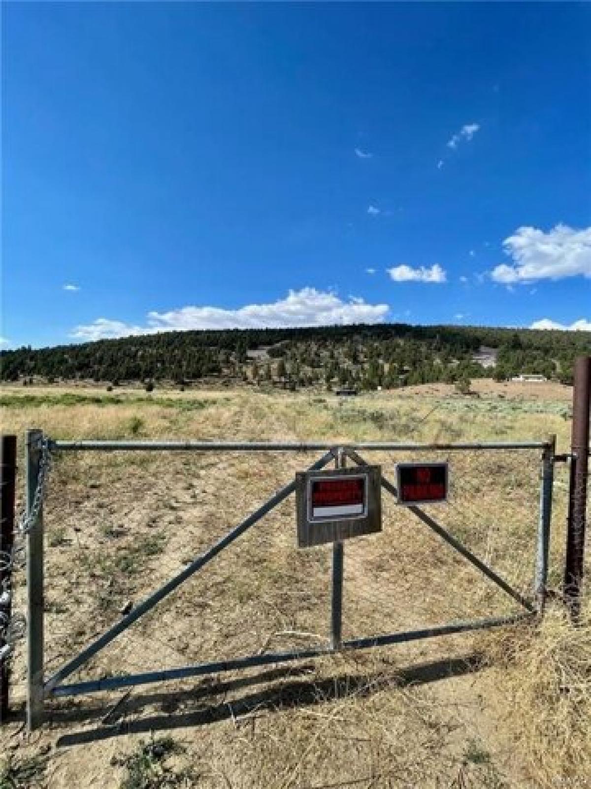 Picture of Residential Land For Sale in Big Bear City, California, United States