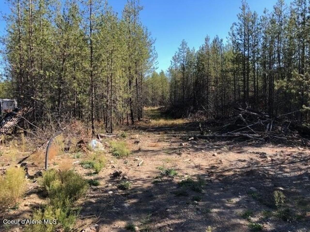 Picture of Residential Land For Sale in Blanchard, Idaho, United States