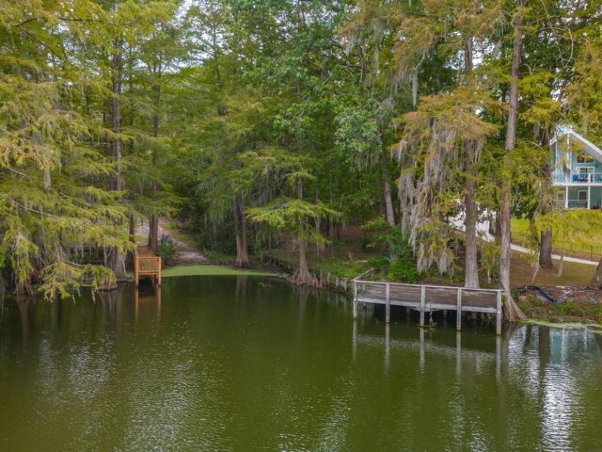 Picture of Residential Land For Sale in Santee, South Carolina, United States