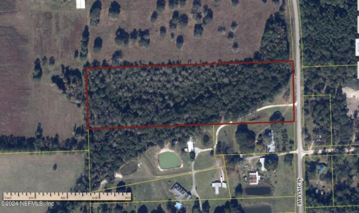 Picture of Residential Land For Sale in Starke, Florida, United States