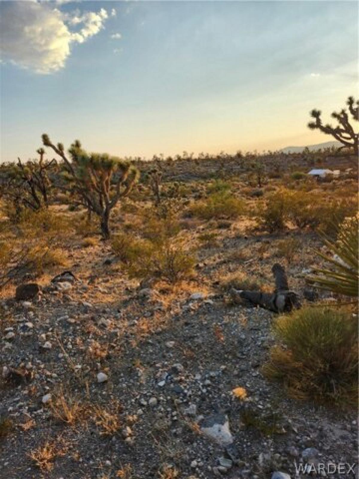 Picture of Residential Land For Sale in Dolan Springs, Arizona, United States