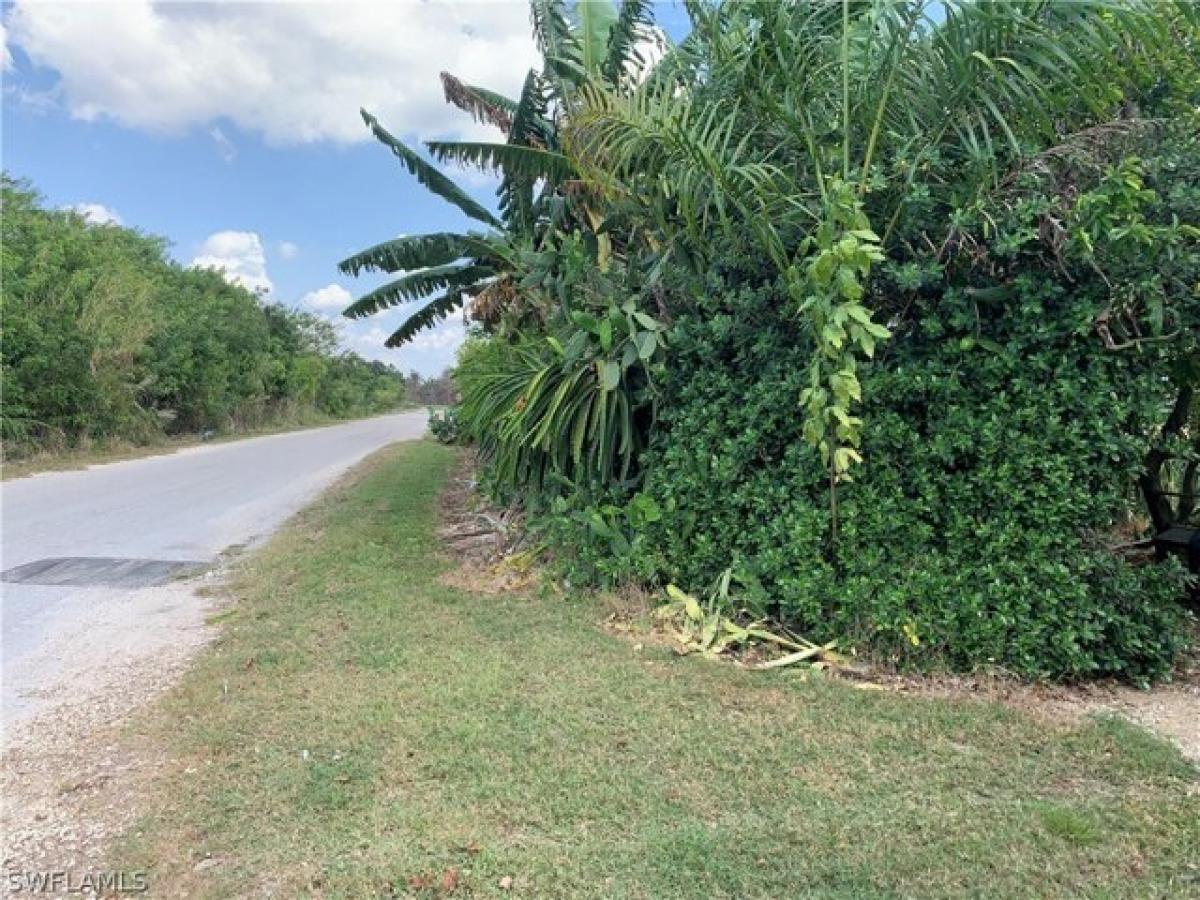 Picture of Residential Land For Sale in Homestead, Florida, United States