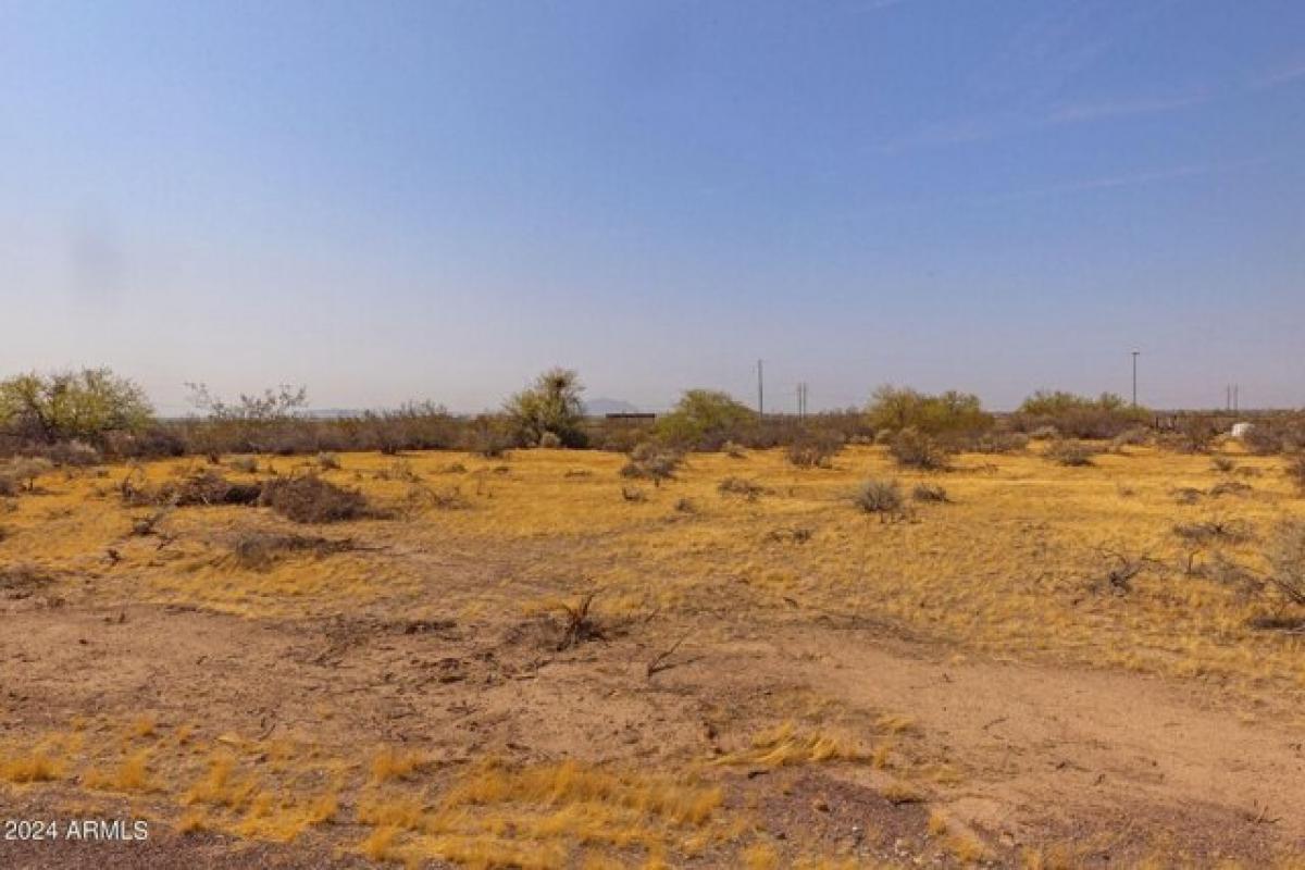 Picture of Residential Land For Sale in Florence, Arizona, United States