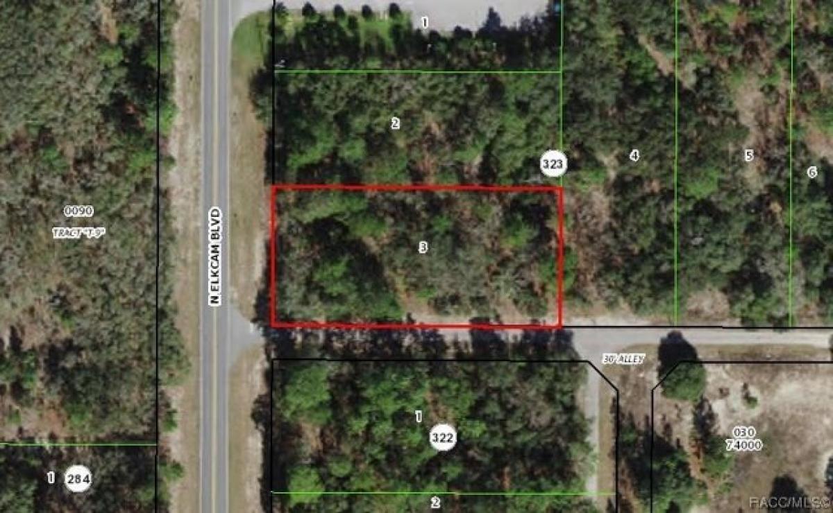 Picture of Residential Land For Sale in Beverly Hills, Florida, United States