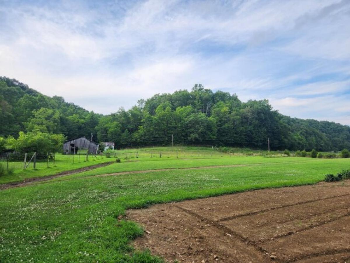 Picture of Home For Sale in Liberty, Kentucky, United States