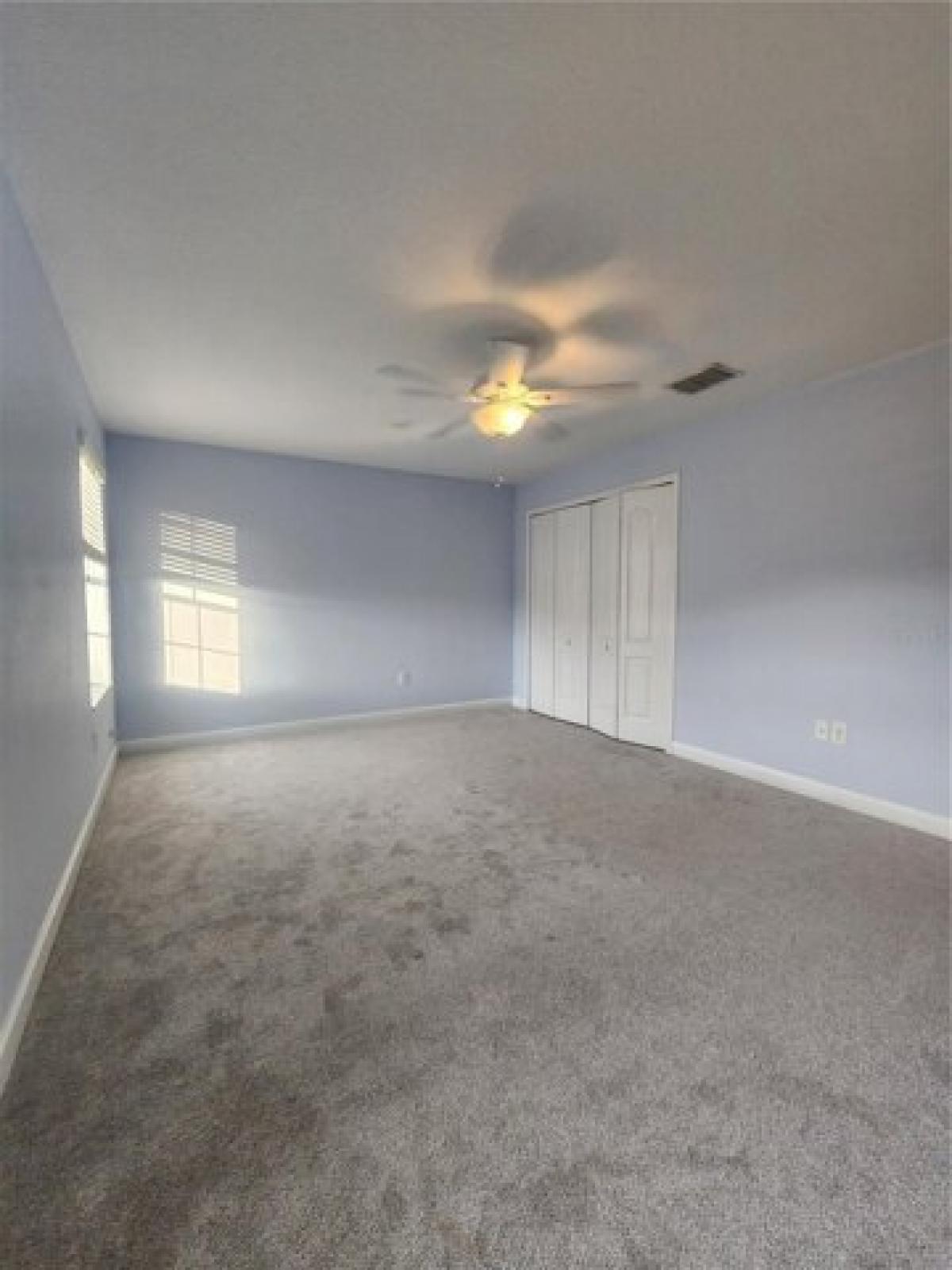 Picture of Home For Rent in Trinity, Florida, United States