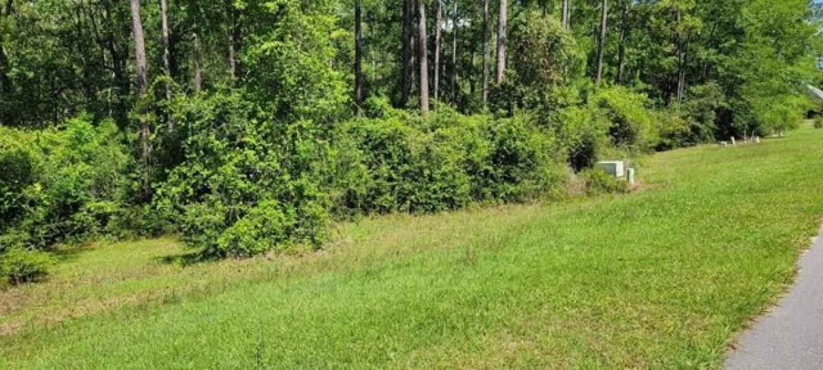 Picture of Residential Land For Sale in Carriere, Mississippi, United States