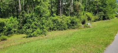 Residential Land For Sale in Carriere, Mississippi