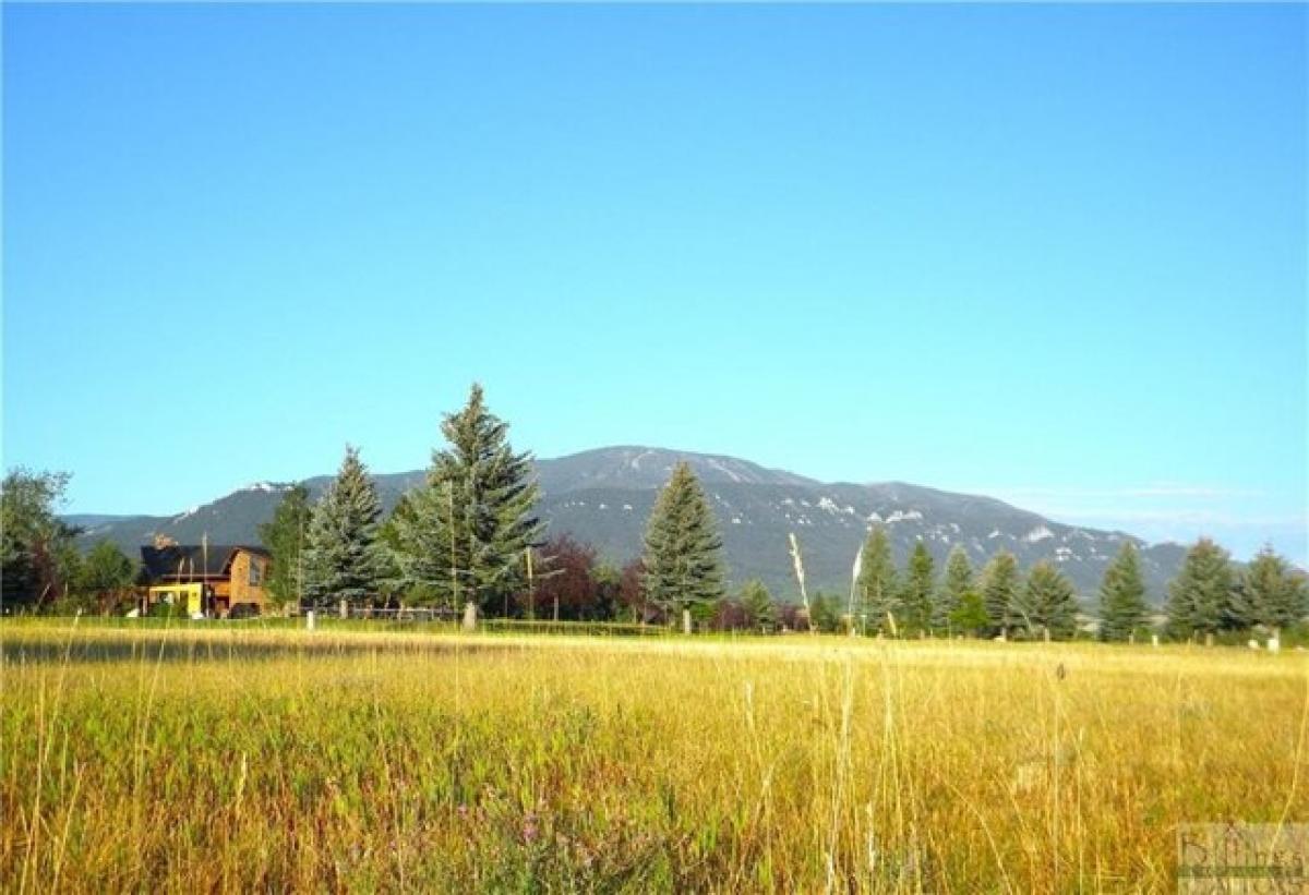 Picture of Residential Land For Sale in Red Lodge, Montana, United States