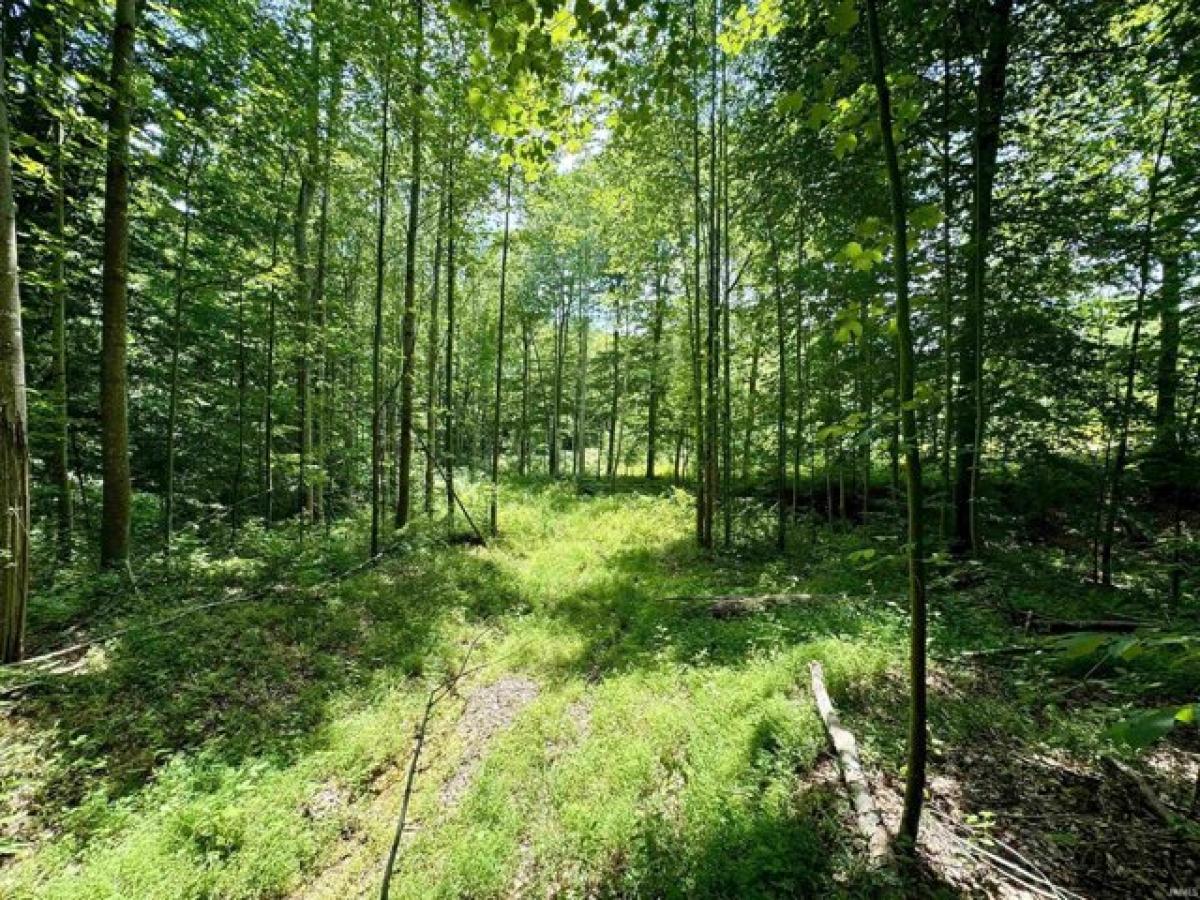 Picture of Residential Land For Sale in Salem, Indiana, United States