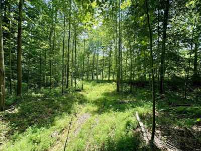 Residential Land For Sale in Salem, Indiana