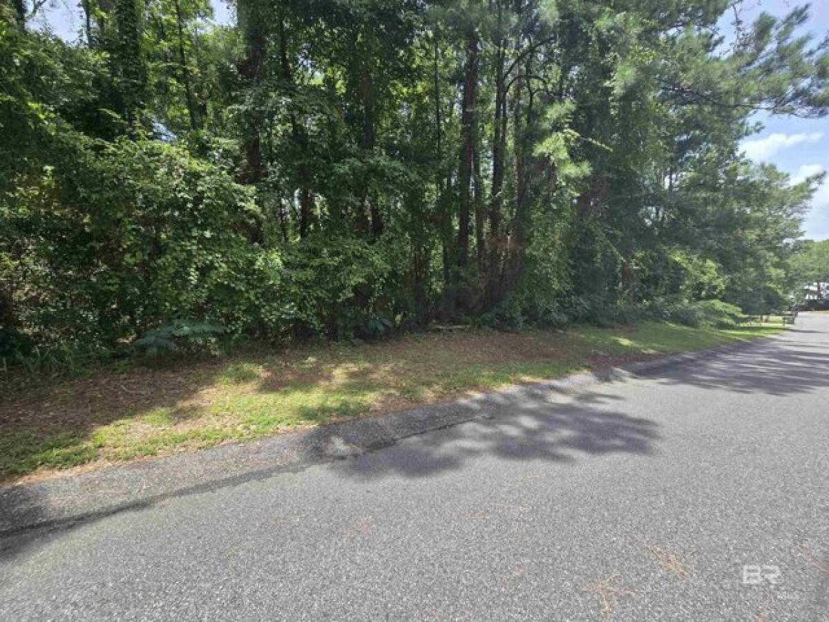 Picture of Residential Land For Rent in Daphne, Alabama, United States