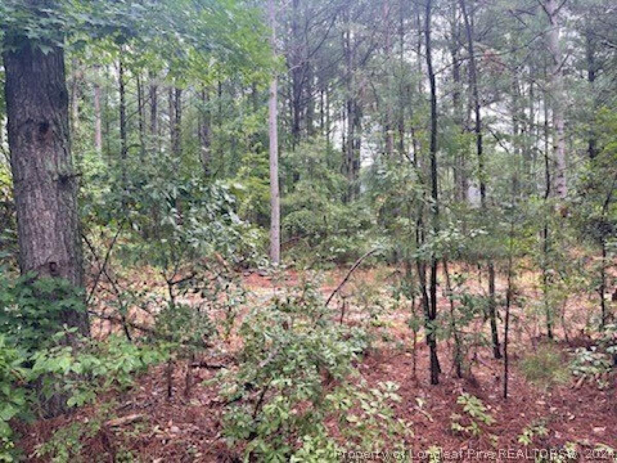 Picture of Residential Land For Sale in Vass, North Carolina, United States