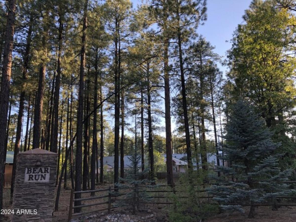 Picture of Residential Land For Sale in Pinetop, Arizona, United States