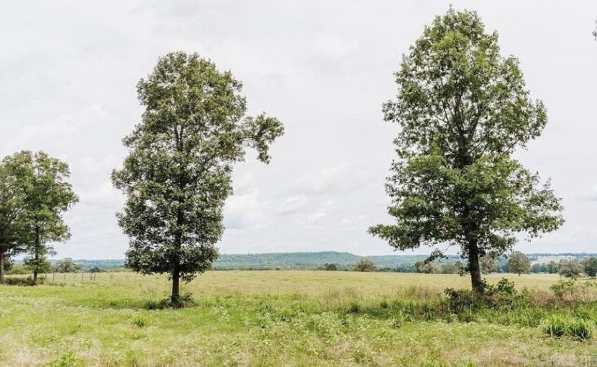 Picture of Residential Land For Sale in Bee Branch, Arkansas, United States