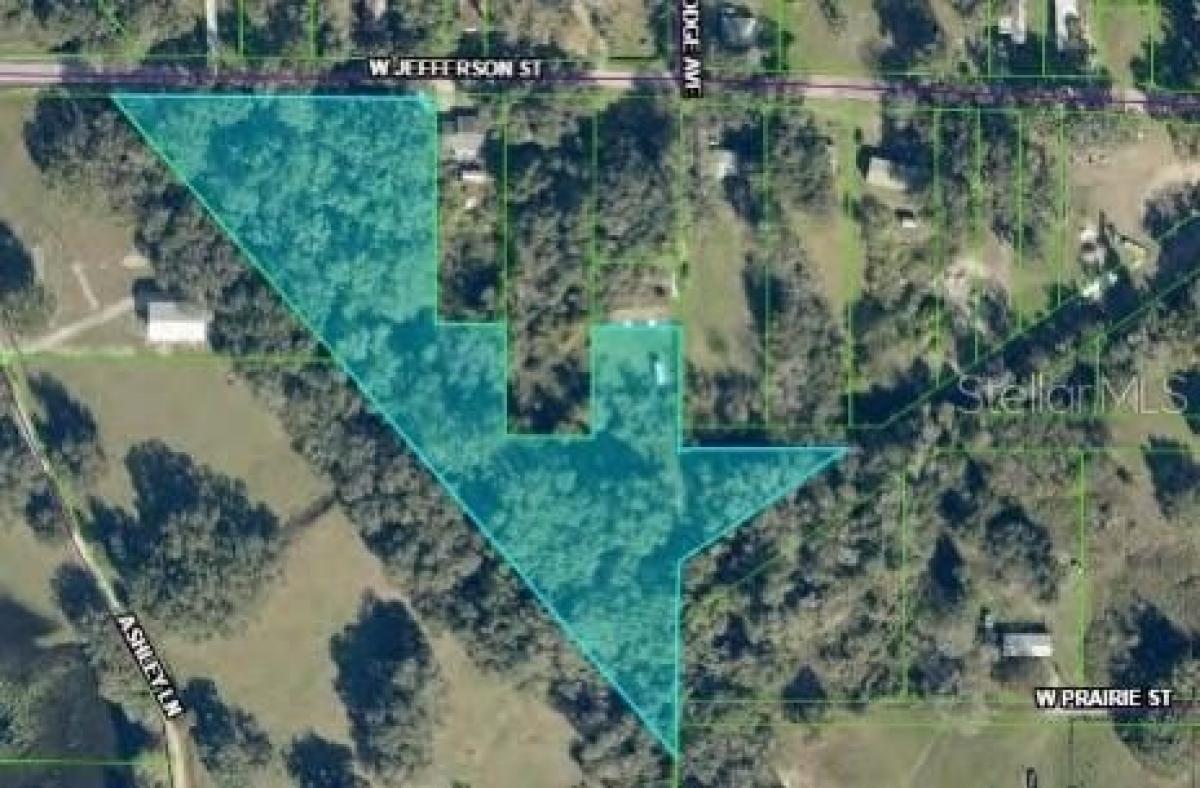 Picture of Residential Land For Sale in Center Hill, Florida, United States