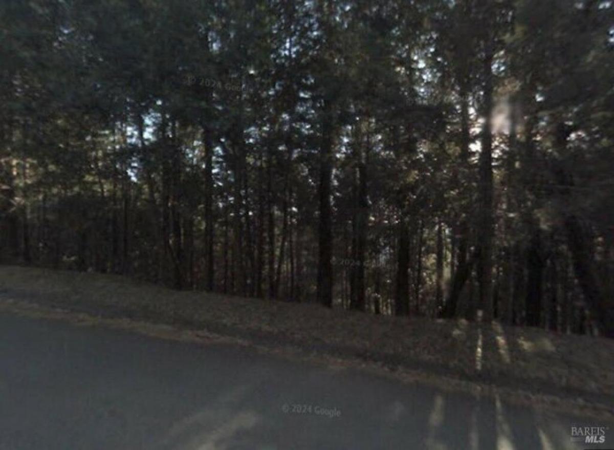 Picture of Residential Land For Sale in Willits, California, United States