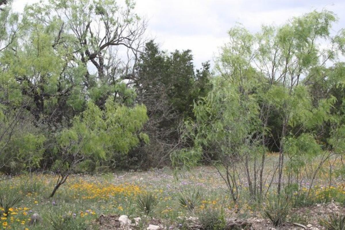 Picture of Residential Land For Sale in Harper, Texas, United States