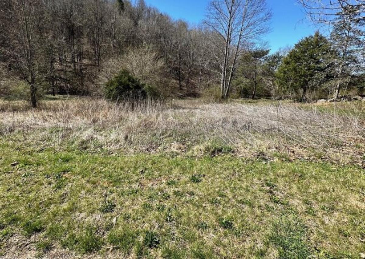 Picture of Residential Land For Sale in Cosby, Tennessee, United States