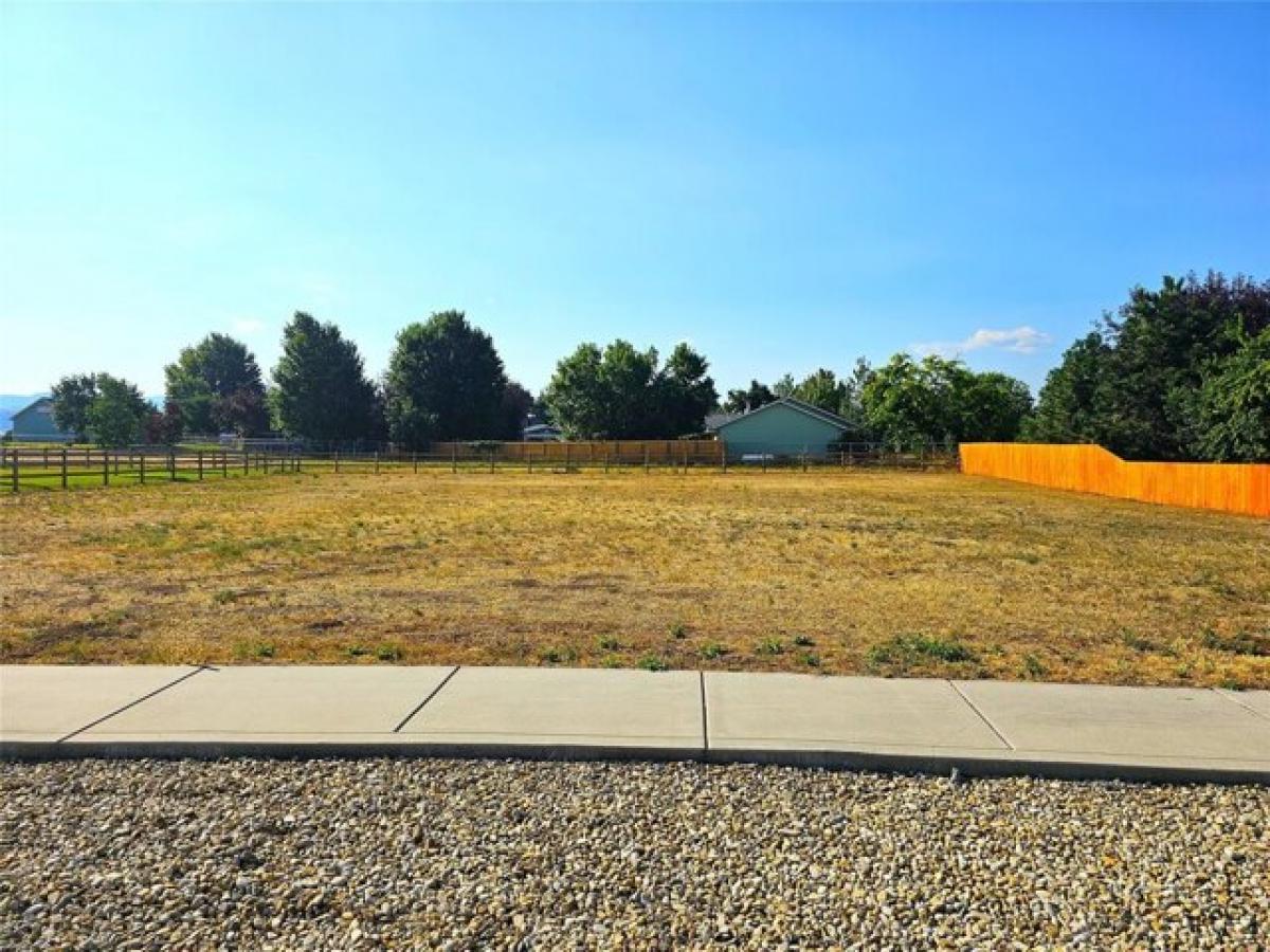 Picture of Residential Land For Sale in Hamilton, Montana, United States