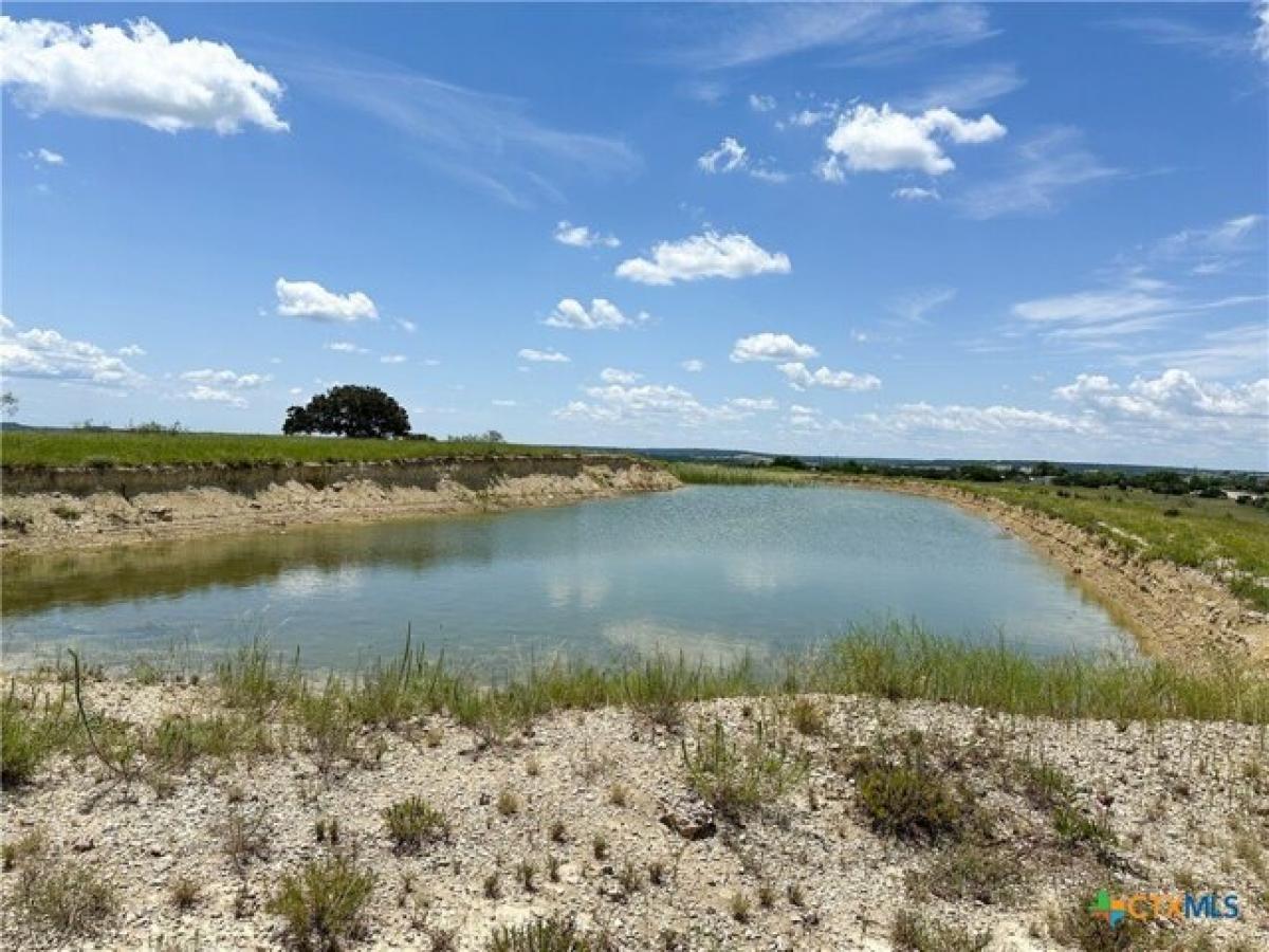 Picture of Residential Land For Sale in Gatesville, Texas, United States