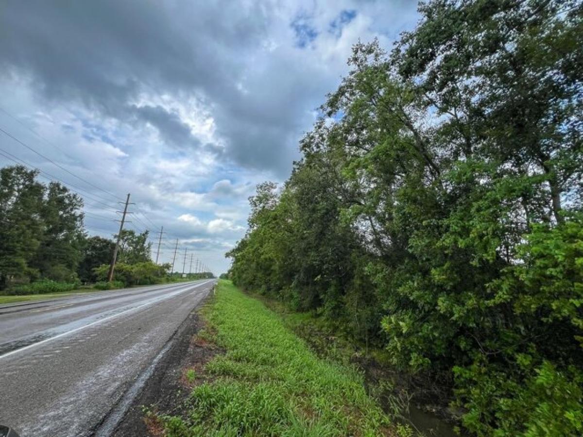 Picture of Residential Land For Sale in Raywood, Texas, United States