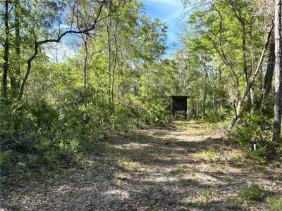 Residential Land For Sale in Jesup, Georgia