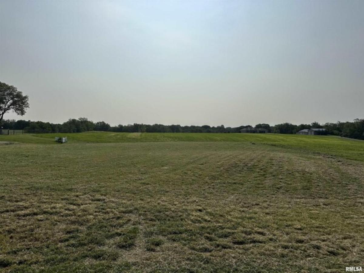 Picture of Residential Land For Sale in Blue Grass, Iowa, United States