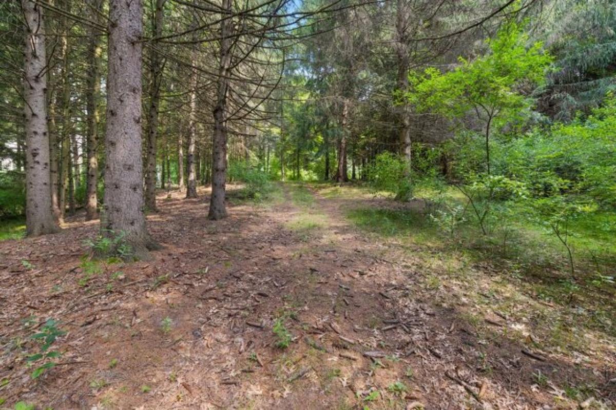 Picture of Residential Land For Sale in Oxford, Michigan, United States