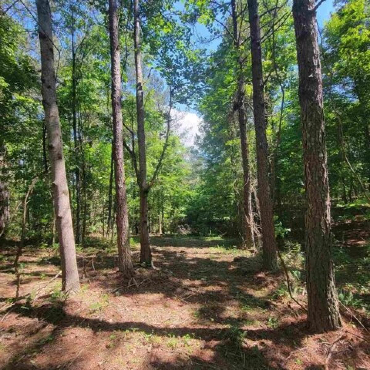 Picture of Residential Land For Sale in Guild, Tennessee, United States