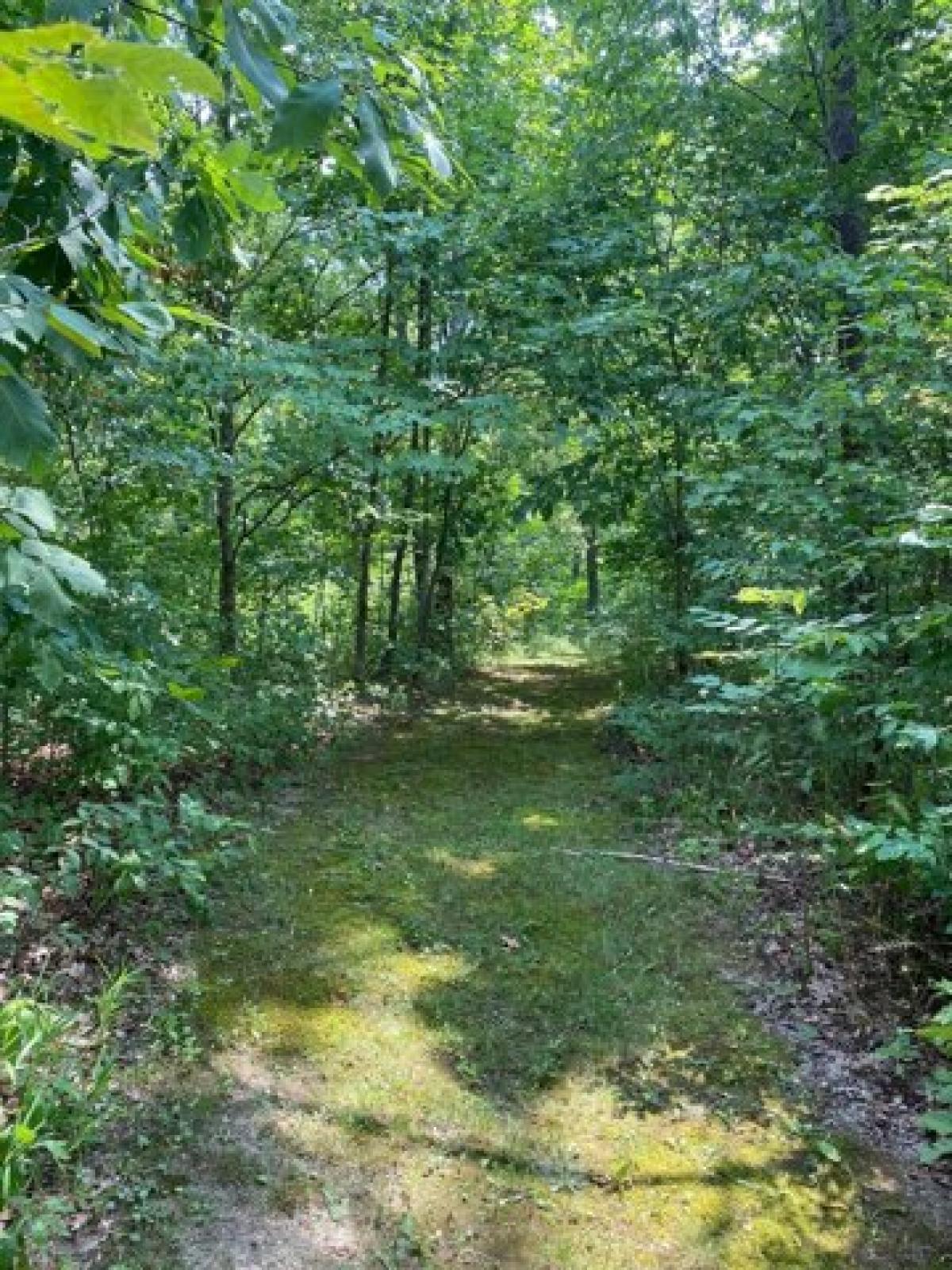 Picture of Residential Land For Sale in Williamstown, Kentucky, United States