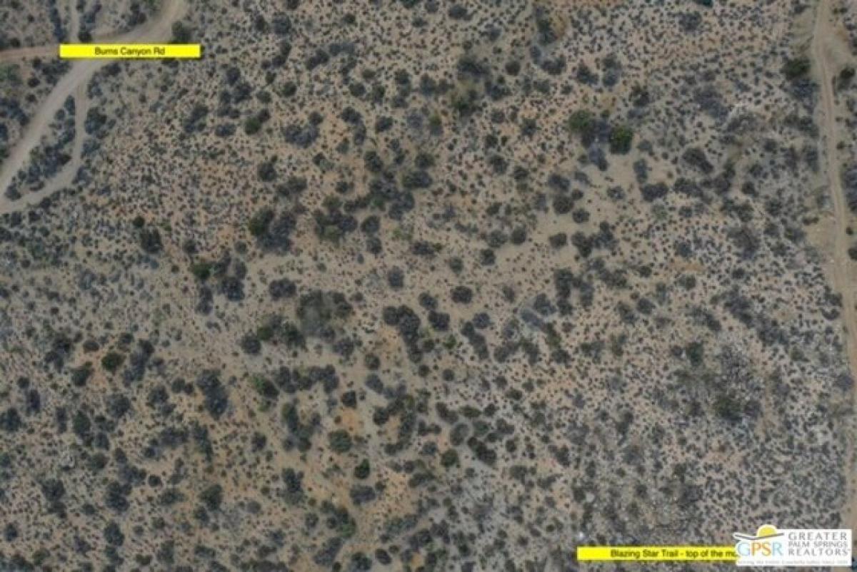 Picture of Residential Land For Sale in Pioneertown, California, United States