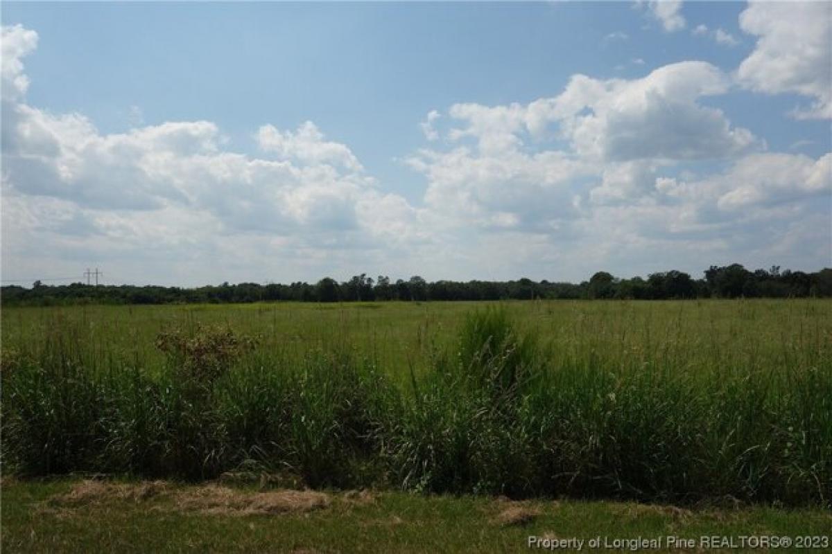 Picture of Residential Land For Sale in Maxton, North Carolina, United States