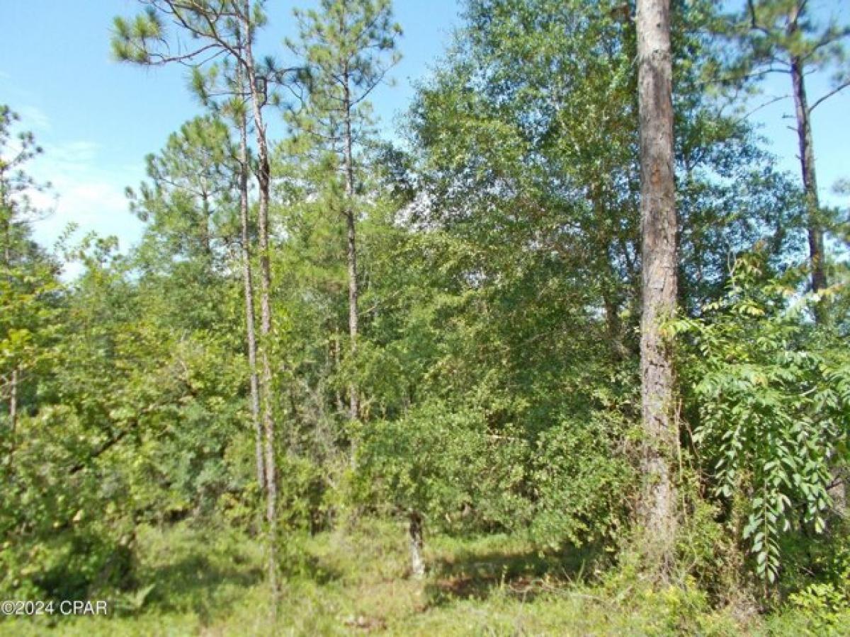 Picture of Residential Land For Sale in Alford, Florida, United States