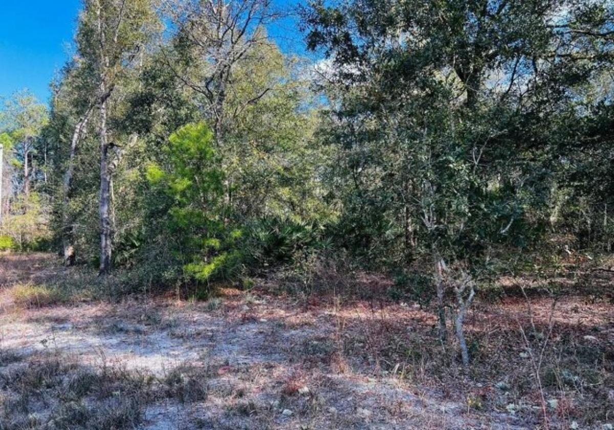 Picture of Residential Land For Sale in Florahome, Florida, United States