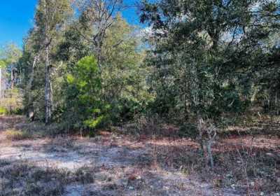 Residential Land For Sale in Florahome, Florida