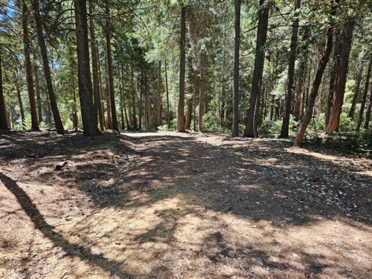 Picture of Residential Land For Sale in Nevada City, California, United States