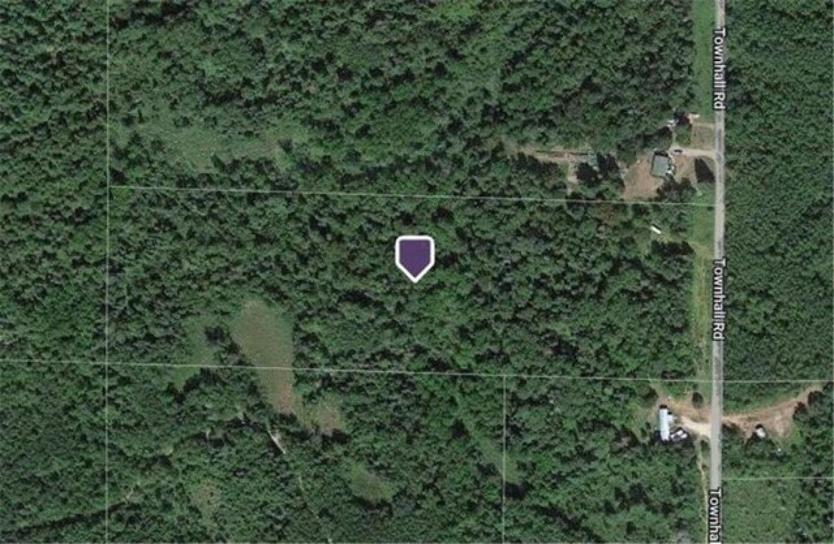 Picture of Residential Land For Sale in Squaw Lake, Minnesota, United States