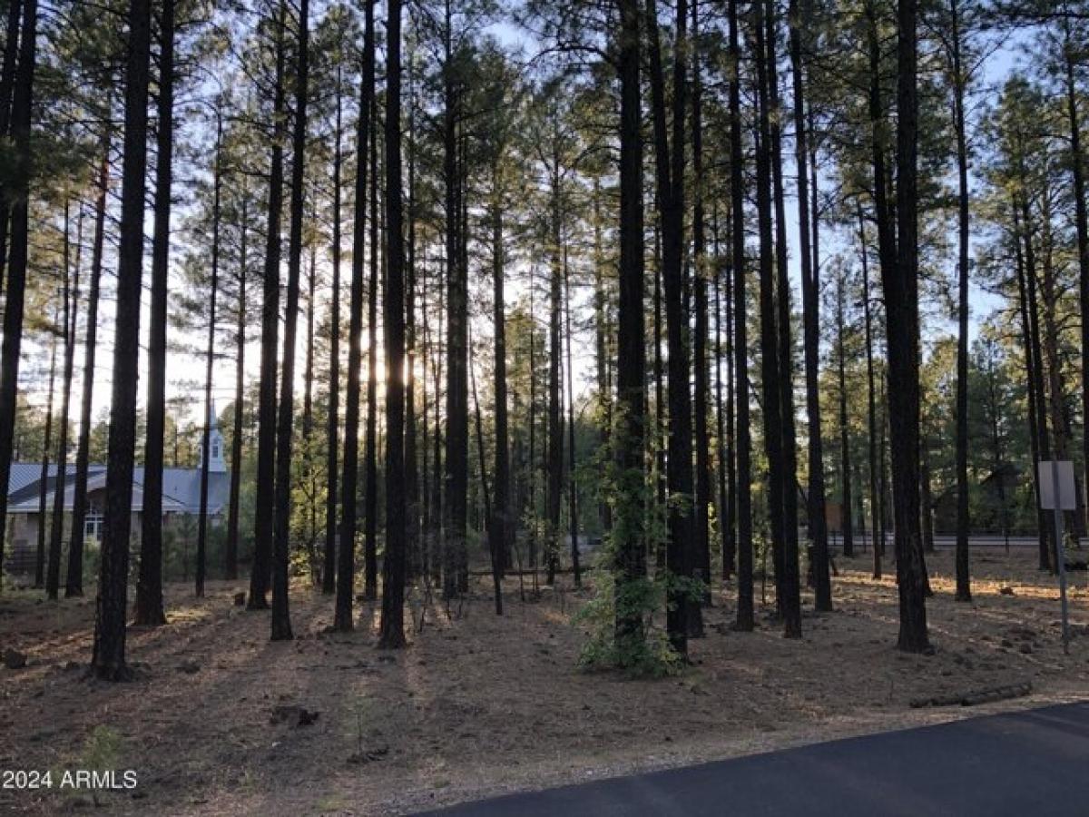 Picture of Residential Land For Sale in Pinetop, Arizona, United States