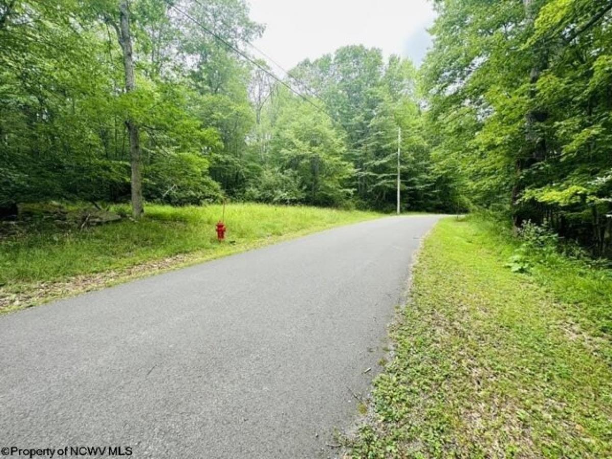 Picture of Residential Land For Sale in Terra Alta, West Virginia, United States