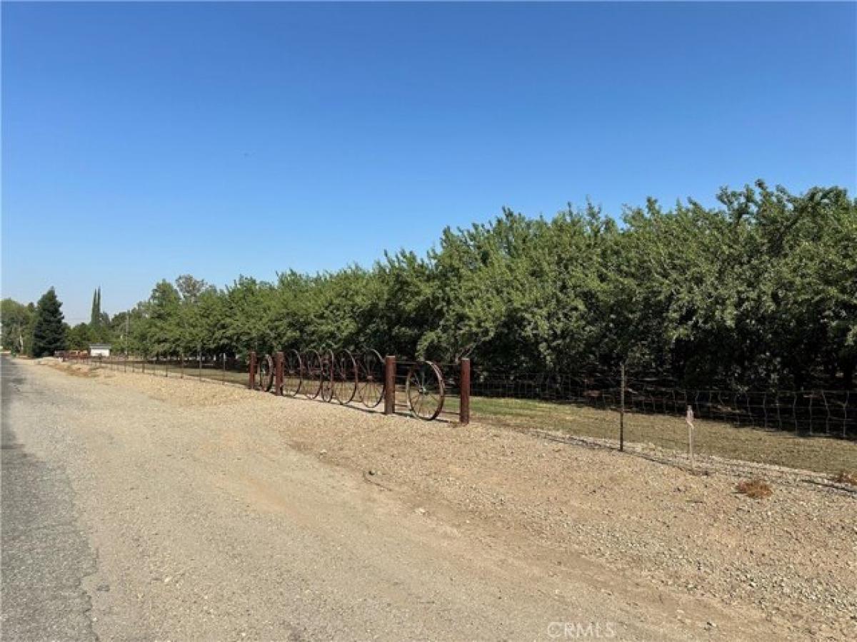 Picture of Residential Land For Sale in Orland, California, United States